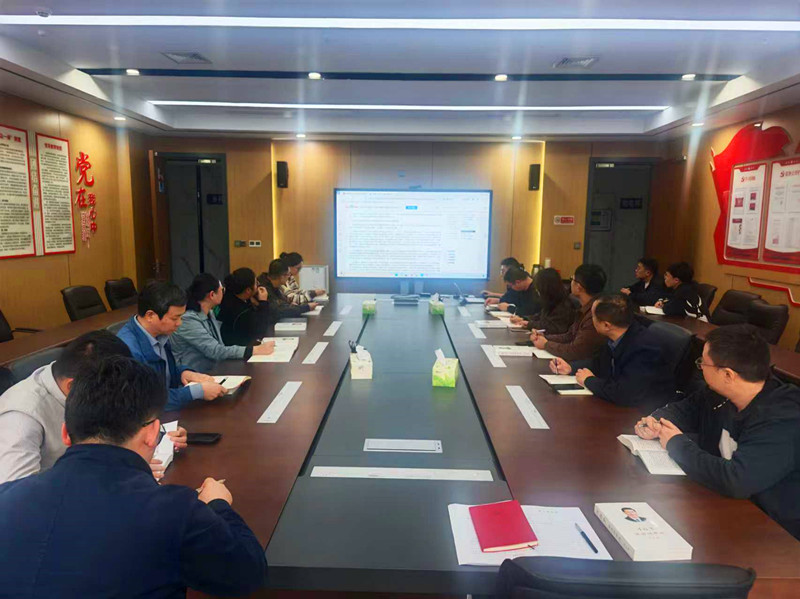 市城投集团党支部组织开展学习党的二十届四