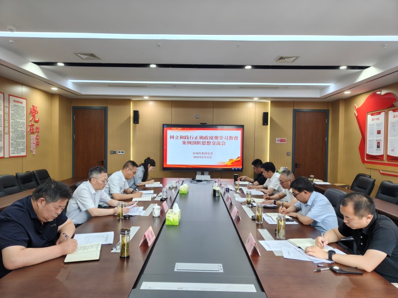 市城投集团召开树立和践行正确政绩观学习教